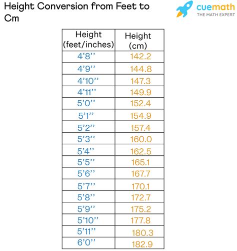 162.5 cm in feet|Height Converter